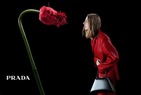 prada campaign|Prada loyalty program.